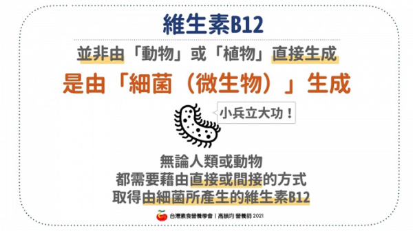 B12攝取指南