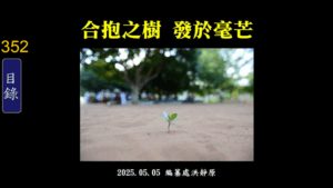 Read more about the article 合抱之樹 發於毫芒
